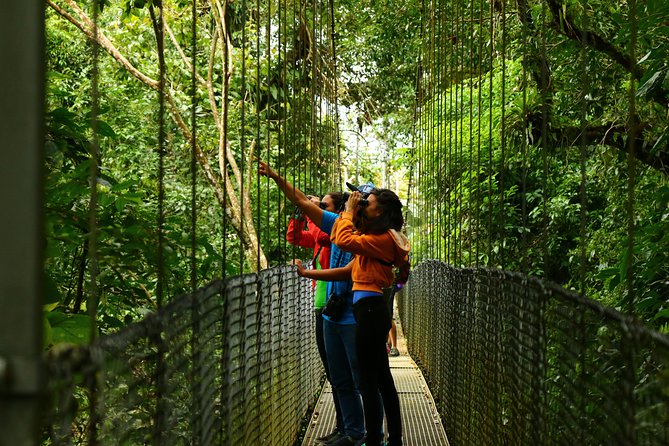 Mistico Hanging Bridges Park From La Fortuna - Inclusions and Logistics