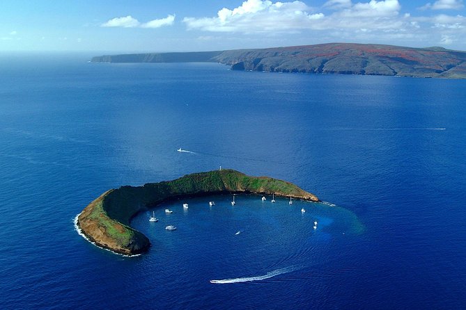 Molokini and Turtle Town Snorkeling Adventure Aboard the Malolo - Snorkeling Experience