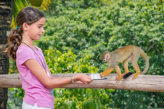 Monkeyland and Plantation Safari From La Romana - Health and Safety Considerations