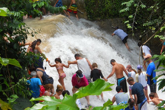 Montego Bay Tour: Dunns River Falls - Tour Pricing and Options