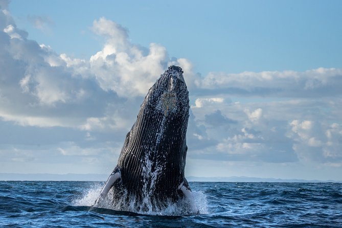 Monterey Bay Whale Watching - Meeting Point Details