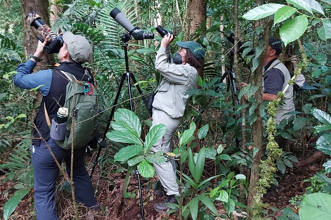 Monteverde Birdwatching Experience - Location Details