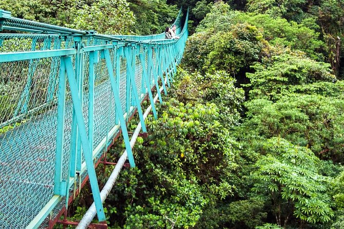 Monteverde Hanging Bridges Day Trip From San Jose - Transportation and Logistics