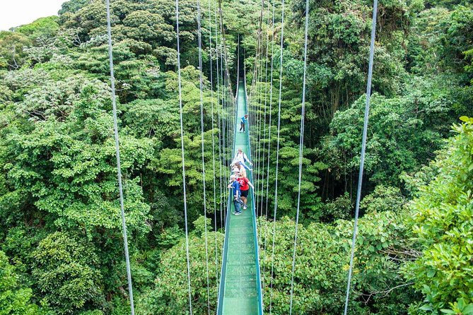Monteverde Sky Tram & Hanging Bridges Cloud Forest Tour From San Jose - Meeting and Pickup Details