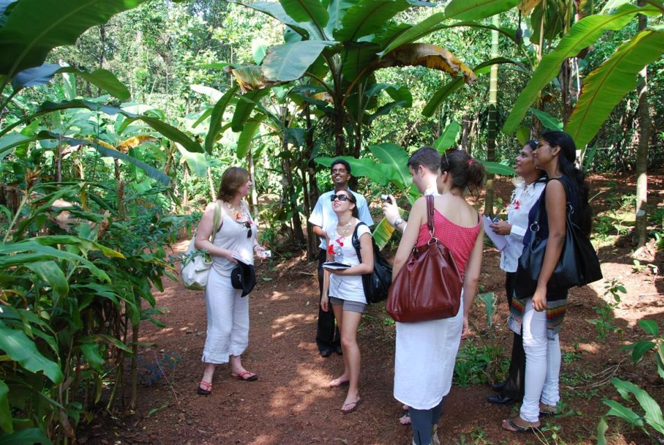 Mormugao Goa Offshore Old Goa Churches,Spice Farm Lunch Tour - Experience Details