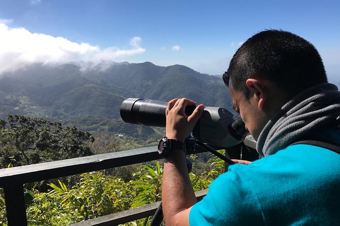 Morning Birdwatching Experience - Wildlife Sightings