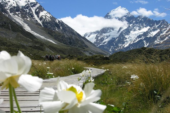 Mount Cook Day Tour From Christchurch - Itinerary Highlights