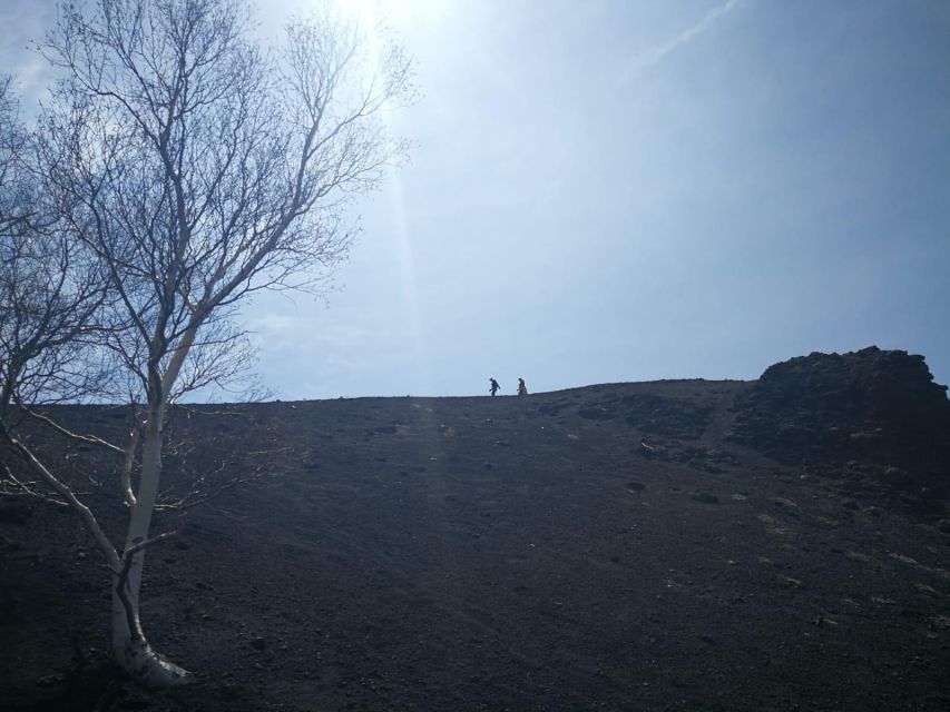 Mount Etna: DAWN TREKKING - Highlights