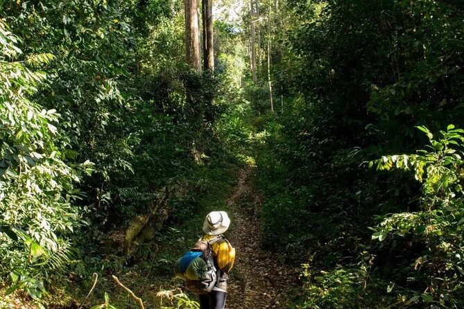Mount Fansipan 2 Days Trek – Roof of Indochina - Detailed Itinerary
