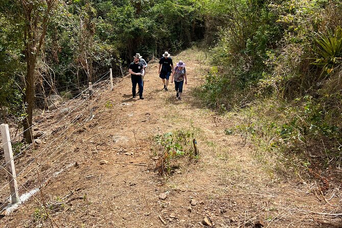 Mount Healthy National Park Private Hike Tour in Tortola - Highlights of the Hike