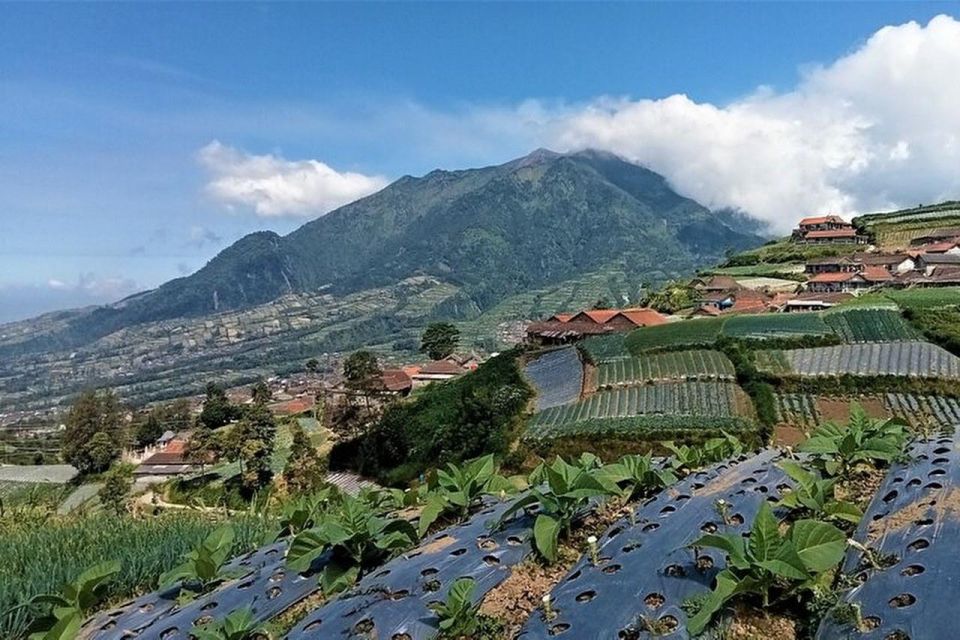 Mount Merbabu Hiking Tour 2D1N With Camping - Highlights of the Trek