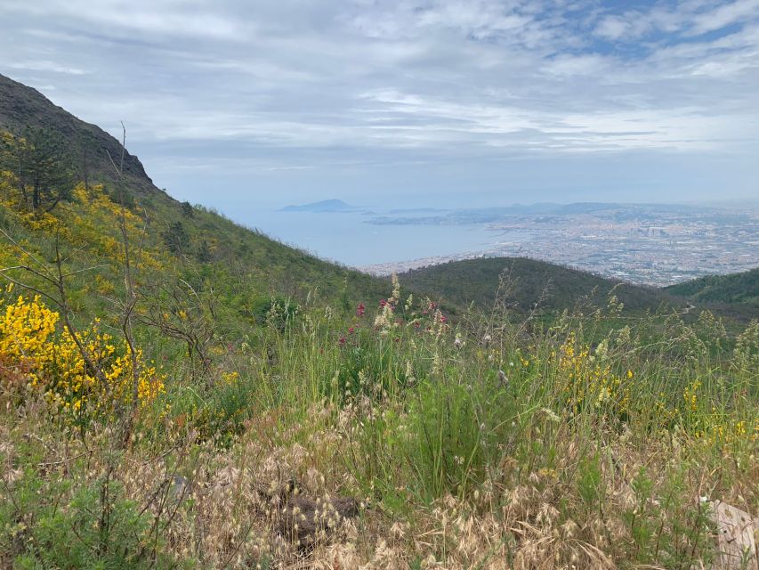 Mount Vesuvius: Smartphone Audio Guide - Experience and Features