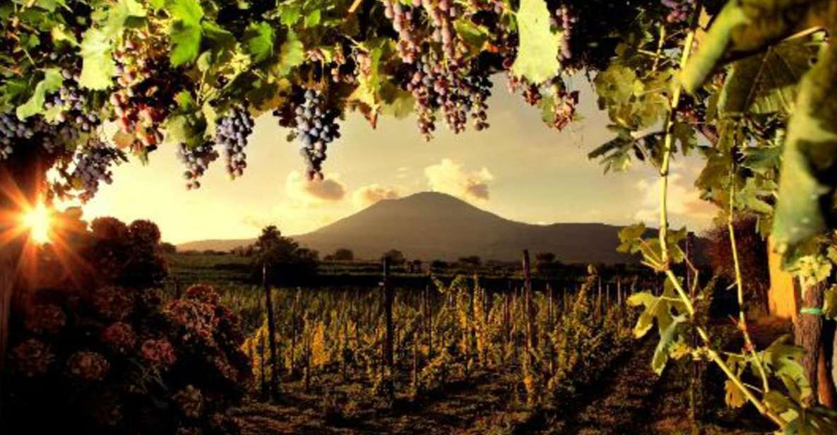 Mount Vesuvius Wine Tasting and Lunch From Pompeii - Highlights