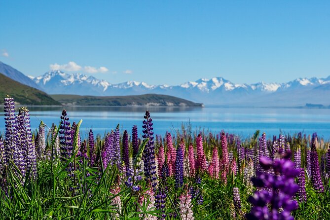 Mt Cook and Lake Tekapo Small Group Tour From Christchurch - Transport and Pickup