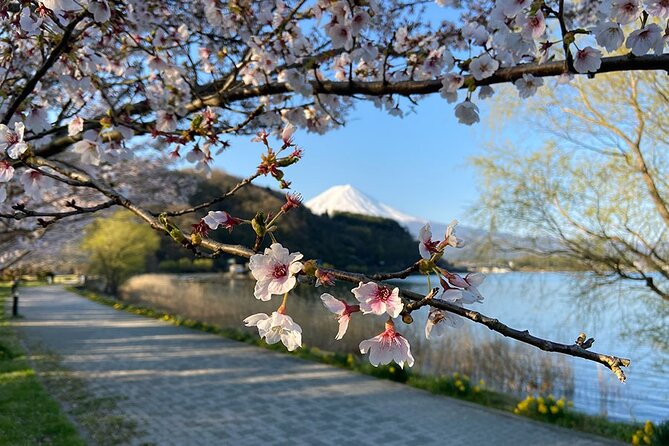 Mt Fuji Lakeshores Full-Day Bike Tour - Inclusions and Amenities