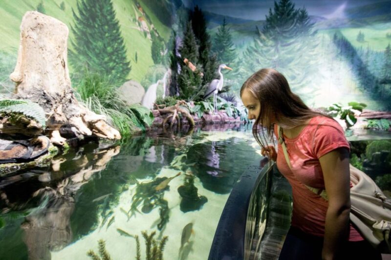 Munich: Day Ticket to Sea Life - Opening Hours and Accessibility
