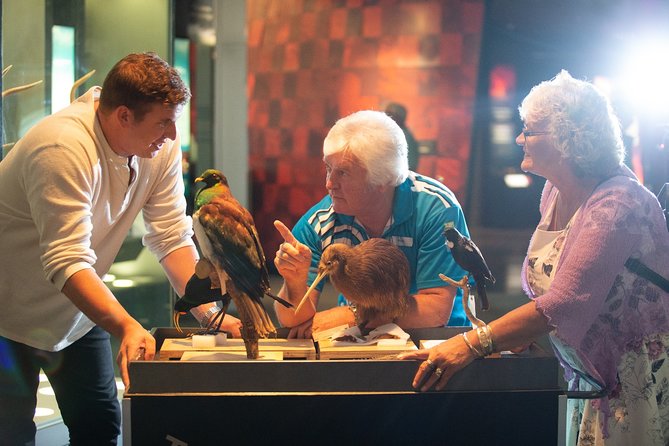 Museum of New Zealand Te Papa: Small Group Guided Tour - Key Highlights of the Tour