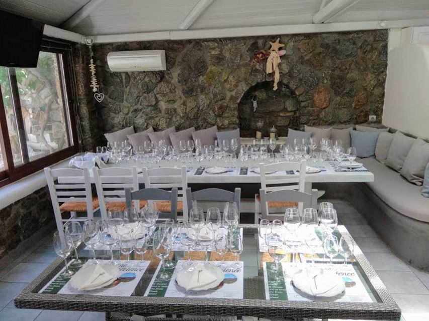 Mykonos: Half-Day Wine Tasting and Snack at a Local House - Highlights of the Experience