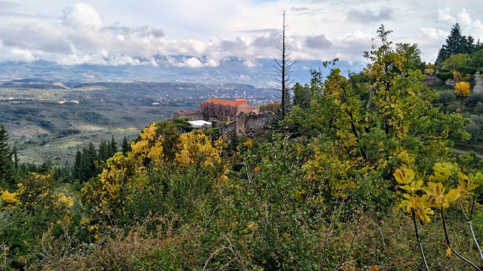 Mystras Castle Town, Sparta, Olive Museum Private Day Tour - Itinerary Breakdown