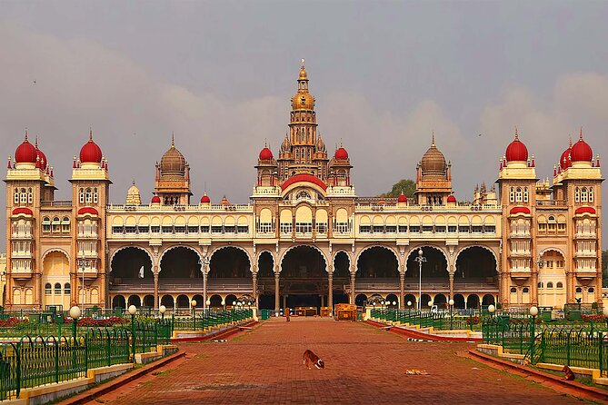 (Mysuru) Mysore Day Out - a Royal Experience Private Tour From Bangalore - Discover Devraj Market