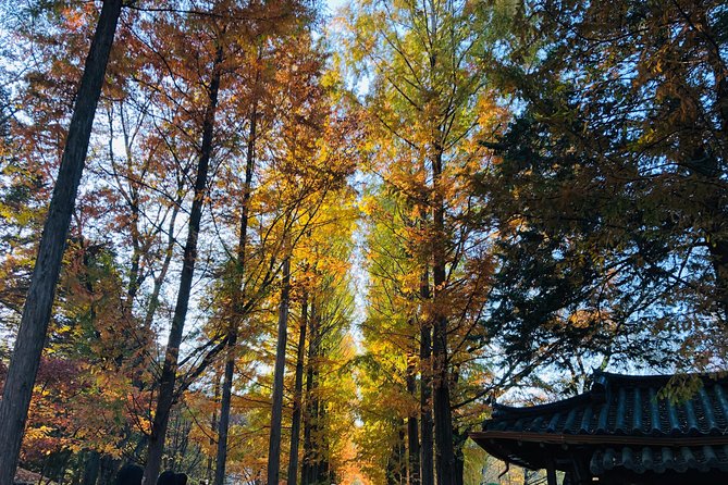 Nami Island+Alpaca+Gapyeong Rail Bike+Garden of Morning Calm - Attractions Included