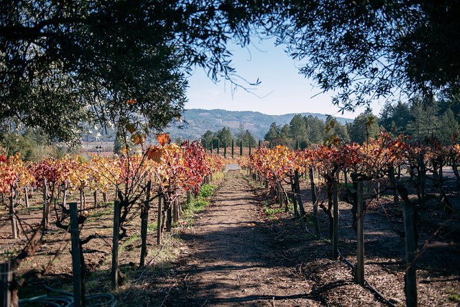 Napa and Sonoma Combo Wine Tour Including Castello Di Amorosa Winery - Itinerary Overview