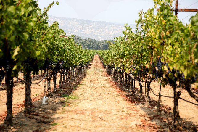 Napa and Sonoma Wine Country Full-Day Tour From San Francisco - Included Inclusions and Logistics