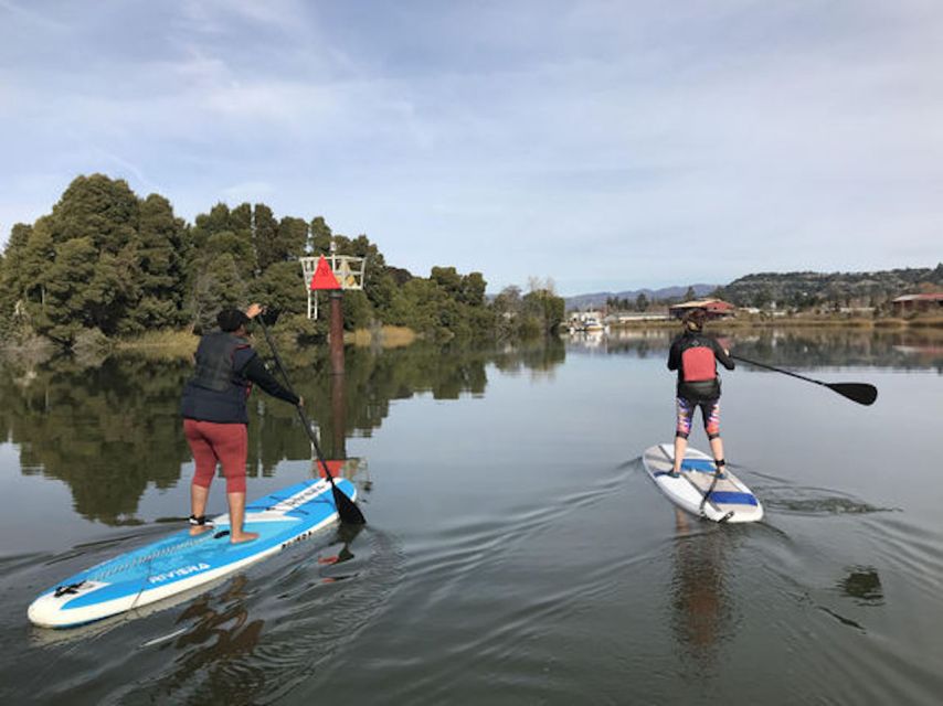 Napa Valley: Napa River Stand Up Paddle Board Rental - Highlights of the Tour