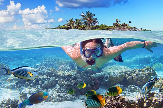 Nassau Aquatic Reef Tour: Snorkel, Turtle Watch, Lunch Included - Marine Life Encountered