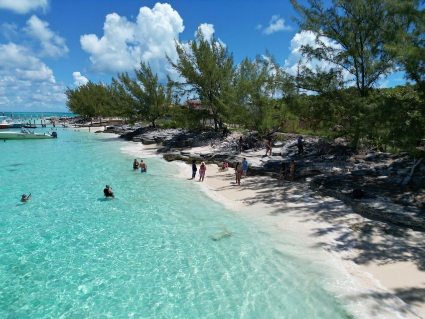 Nassau: Half-Day Guided Cay Cruise, Sea Life Watch & Snorkel - Encountering Pigs at Pearl Island