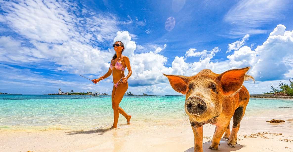 Nassau: Swimming Pigs, Snorkeling and Beach Boat Tour - Meet the Swimming Pigs