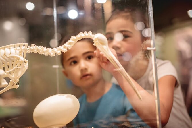 National Kiwi Hatchery - Kiwi Encounter Tour - Guided Tour Experience