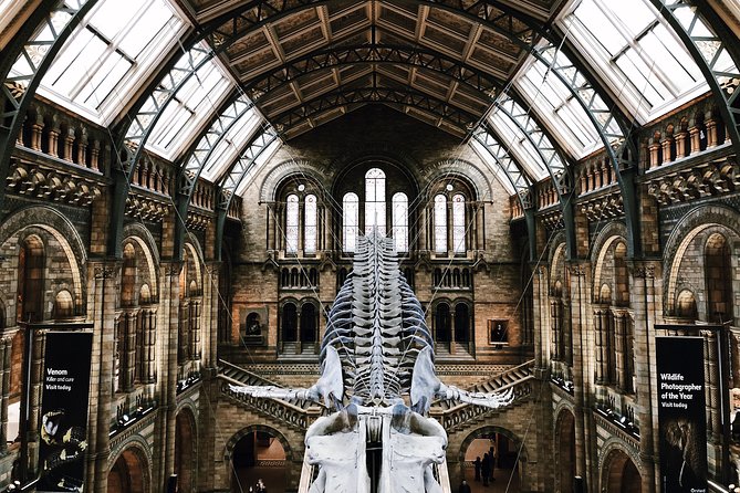 Natural History Museum London - Private Guided Museum Tour - Meeting Information