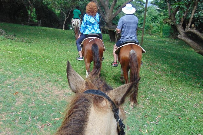 Nature & Historical Horseback Riding Tours St. Lucia - Tour Inclusions and Logistics