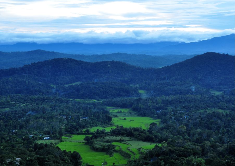 Nature & Spiritual Trails of Coorg (Guided Walking Tour) - Highlights of the Experience