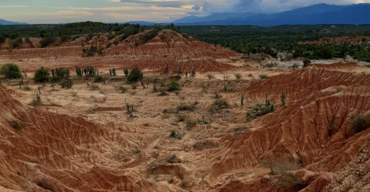 Neiva: Guided Day Trip to the Tatacoa Desert With Lunch - Experience Highlights