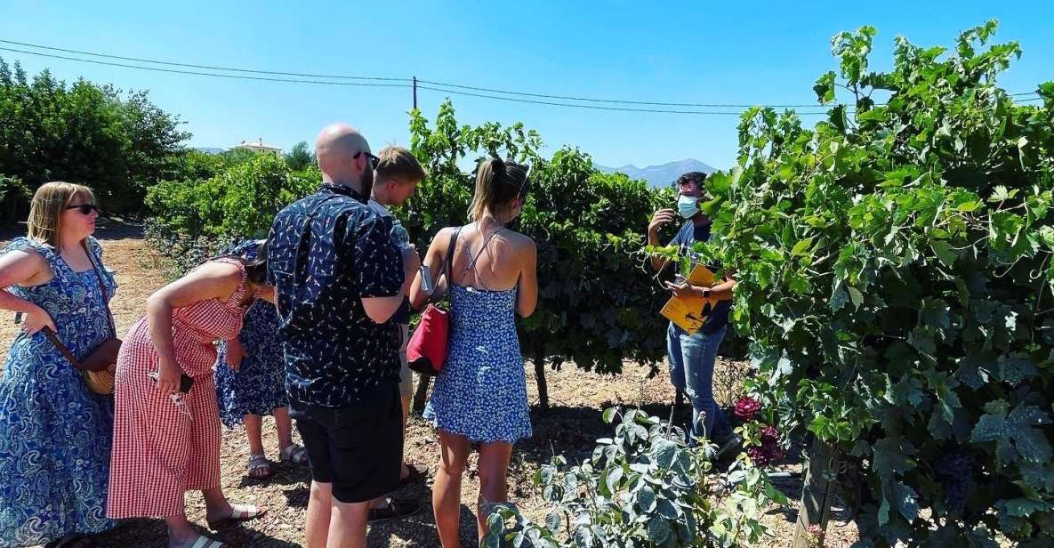 Nemea: Wine Tour - Itinerary Highlights
