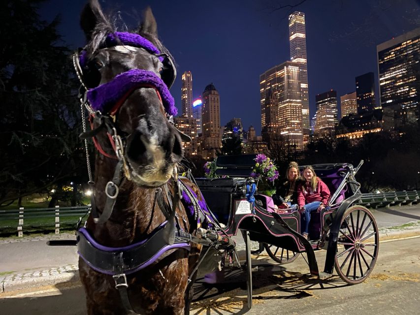 New York City: Private Horse Carriage Tour - Highlights of the Tour