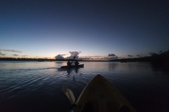 Night Kayaking Experience on Bioluminescent Lagoon in Fajardo - Tour Highlights and Features