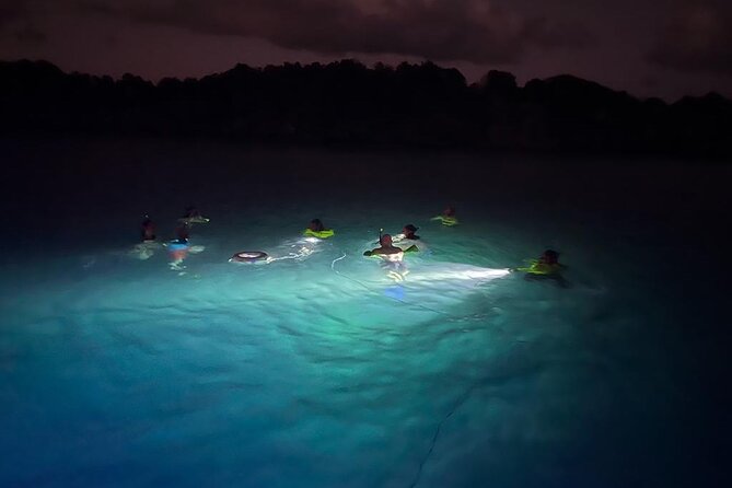 Night Snorkeling and Boat Experience With Appetizer and Drinks - Whats Included