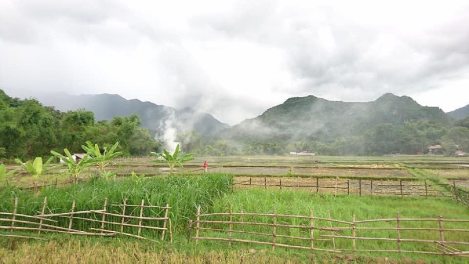 Ninh Binh - Hoa Lu - Tam Coc - Cycling Included Bus & Meal - Booking Details