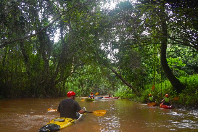 No.1 Chiang Mai River Kayaking: Chiang Dao Jungle Trip - Itinerary Highlights