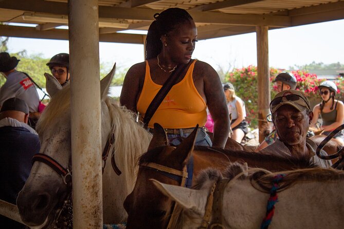 North Coast and Countryside Horseback Riding Tour in Aruba - Experience Highlights