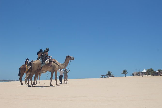  North Coast Buggy With Fees - Genipabu- Natal Outing - Inclusions of the Tour