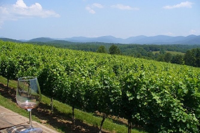 North Georgia Wine Country Tour From Atlanta - Itinerary and Highlights