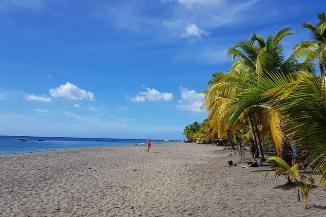 North Island Tour And Martinique Best Secret - Customer Experiences and Reviews