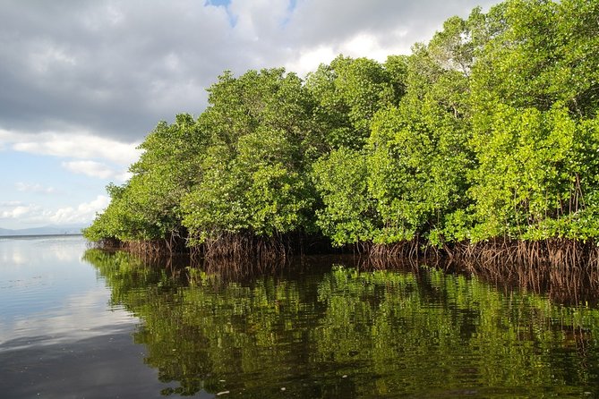 Nusa Lembongan Island: Snorkeling & Mangrove Forest Day Tour - Island Tour and Devils Tears