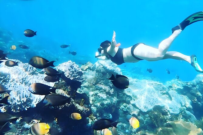 Nusa Penida Island Beach Tour With Snorkeling - Departure From Bali Island - Inclusions of the Day Trip
