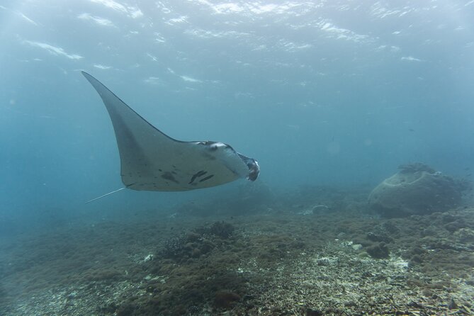 Nusa Penida Land Tour and Snorkeling (INCLUSIVE) - Meeting and Pickup