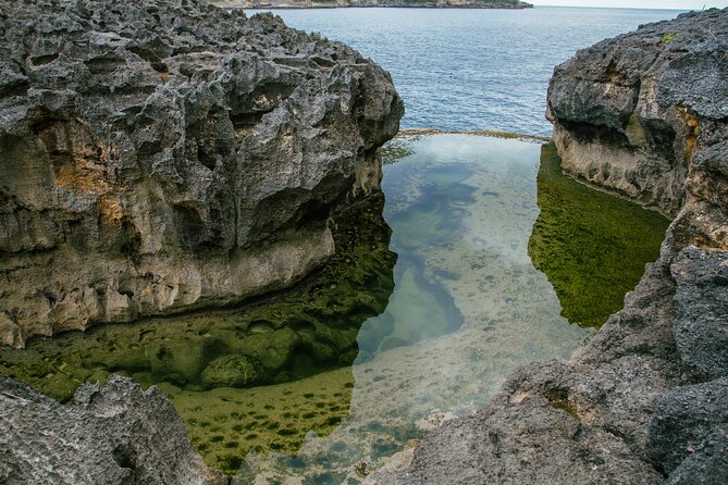 Nusa Penida One Day Trip to Instagrammable Spot by Penidago - Whats Included